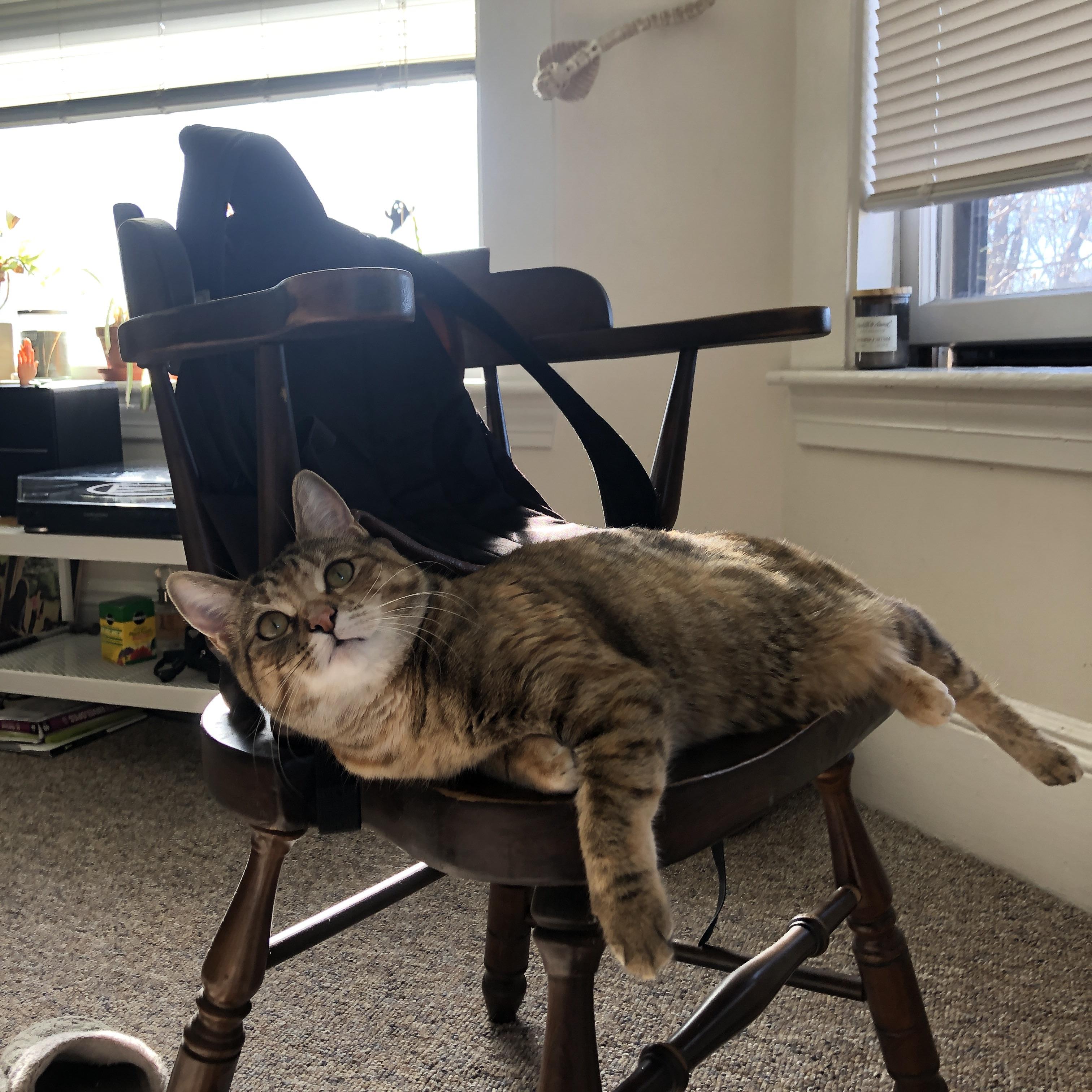 王牌对王牌，保罗末节决胜，掘金团队压制辽宁