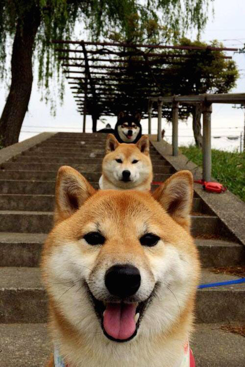 紫金激情与欧洲风暴，当湖人速胜邂逅班凯罗的欧冠统治