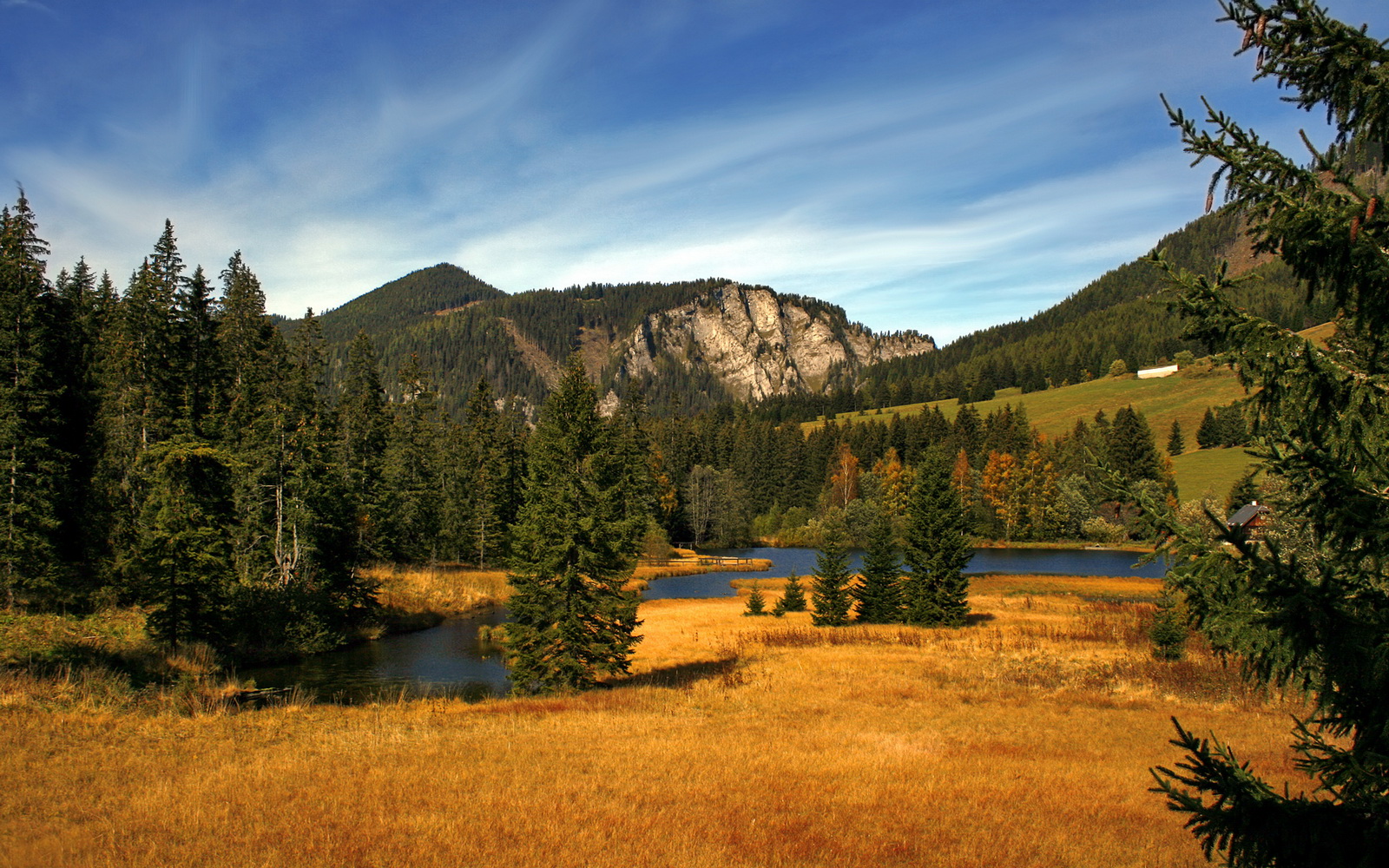 独造四球！卡瓦哈尔爆发送助攻 阿森纳4-0狂胜皇家社会迎欧冠大捷