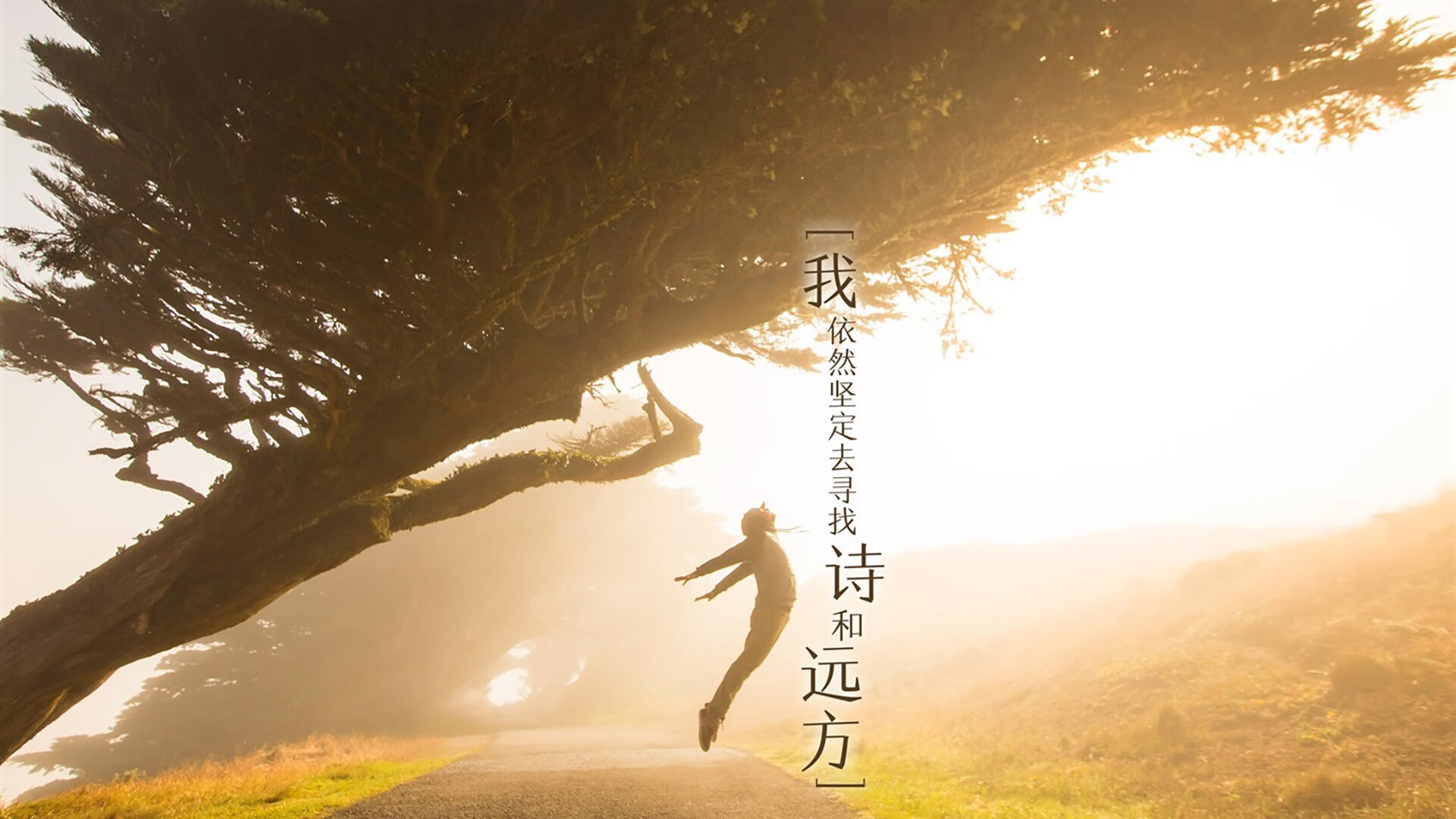 赛道激战与绿茵绝杀，体育世界里的永恒搏命与战术猎杀