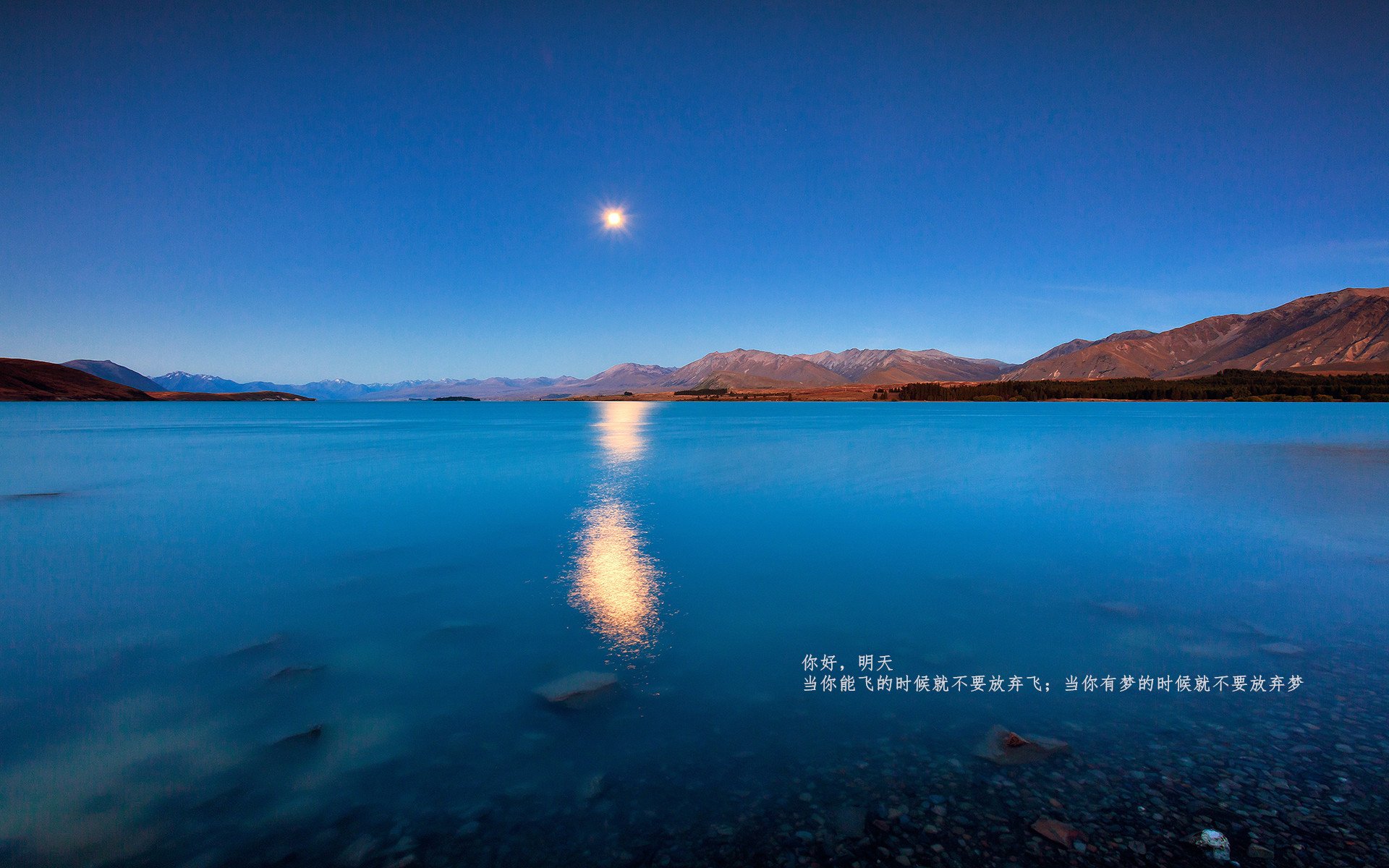 年度焦点战之夜，戈贝尔在攻防两端证明自我价值