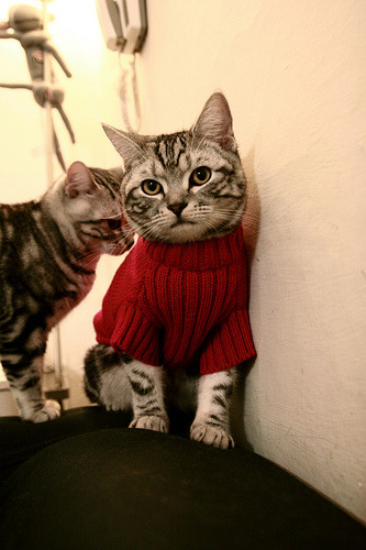 足球与速度的巅峰对决，AC米兰压制荷兰，格列兹曼的F1式赛场统治