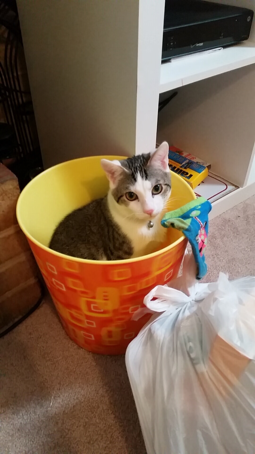 卡拉斯科攻防两端统治全场，毕尔巴鄂力克波兰劲旅赢得争冠关键战