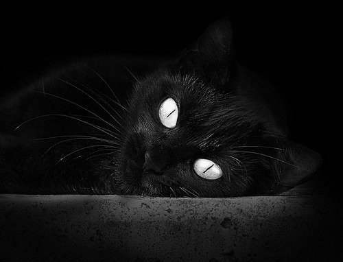 斩将夺旗!快船淘汰赛险胜猛龙,杰伦格林末节接管成关键先生