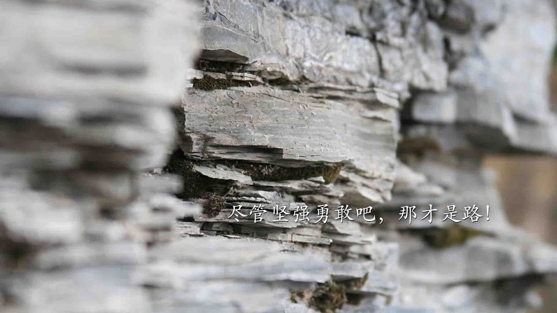 开云体育在线-假如没有踩线，雄鹿过关后，杜兰特本可在西决生死战中接管比赛