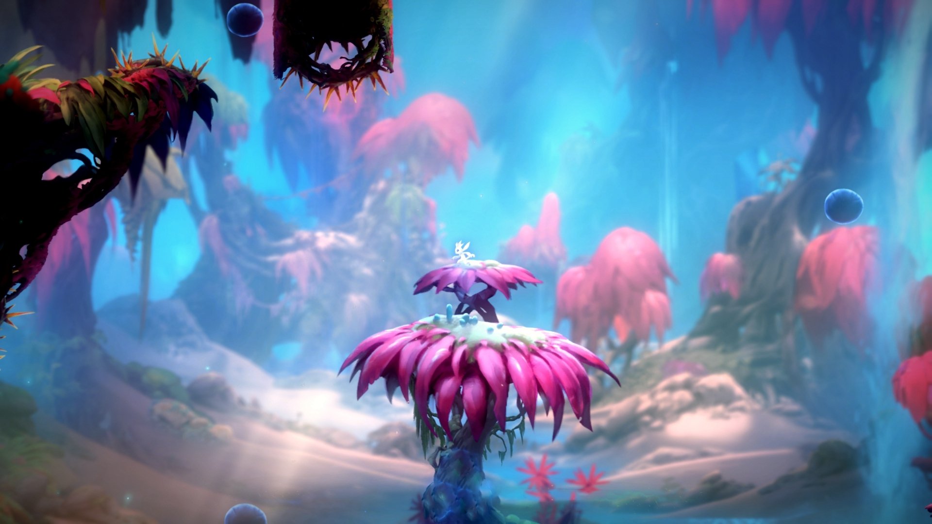 那一天，他跑过了星辰