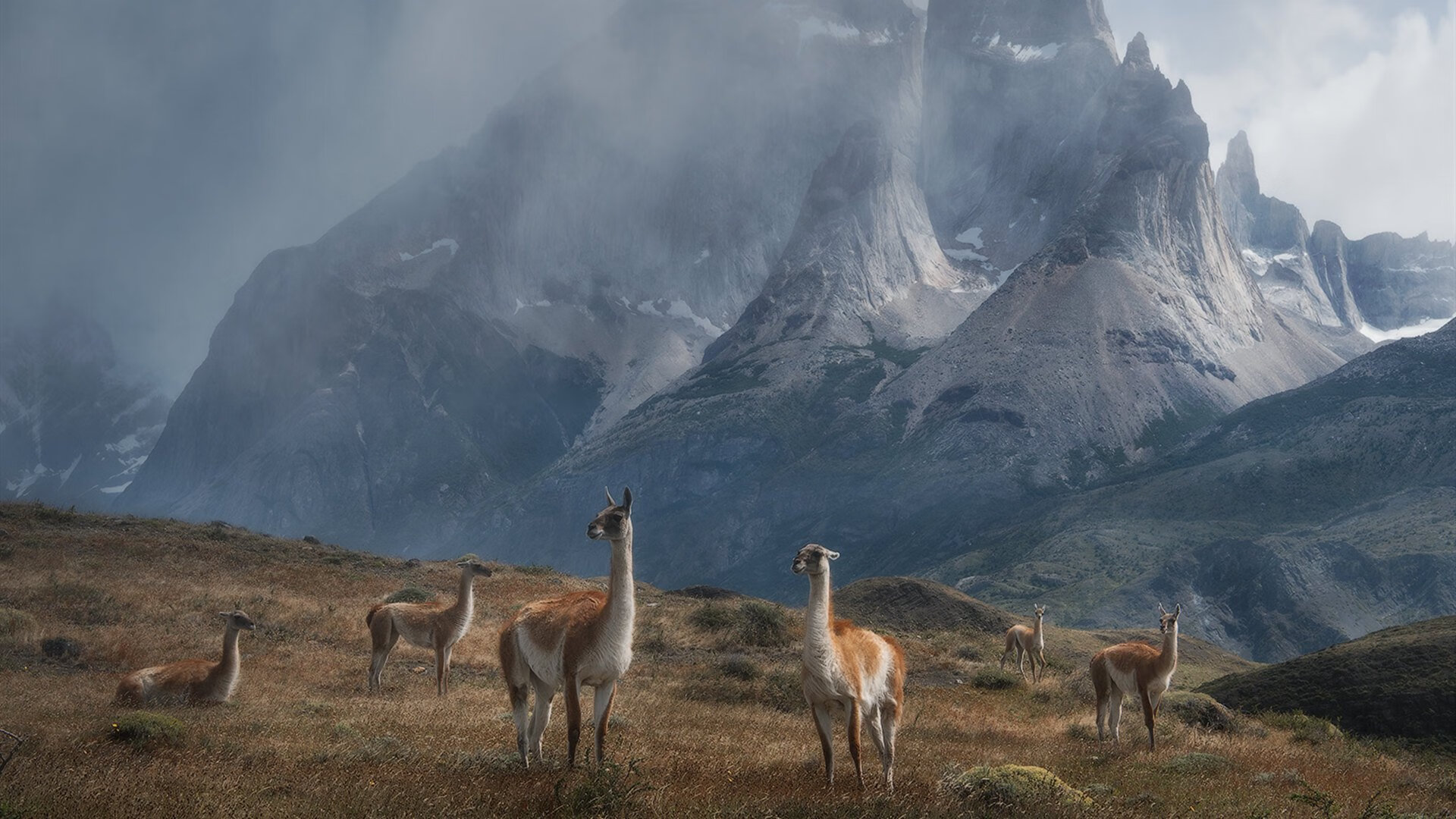 双线争锋，贝林厄姆爆发领衔，哥伦比亚硬仗击退伊拉克